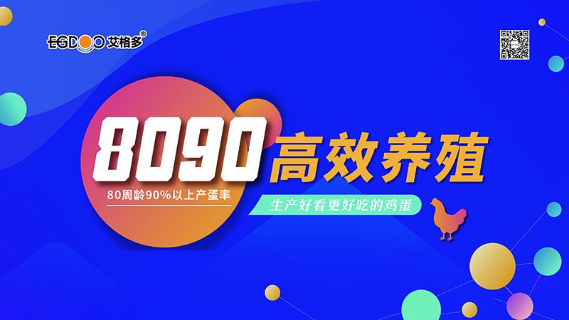 四會連開，艾格多8090高 效養(yǎng)殖700天唐山區(qū)域線下交流會成功舉辦